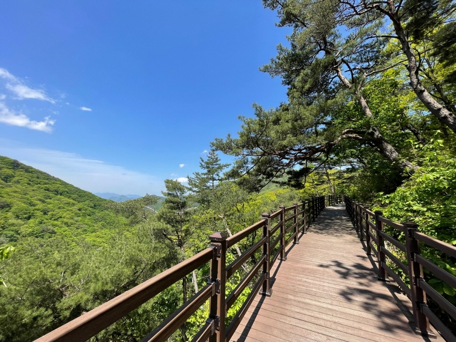 제천 치유의 숲 수목원 관람 가이드 ❘ 이용 정보&middot;산림 치유 코스&middot;계절별 포인트 총정리