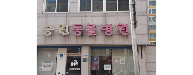 통영시 동물병원