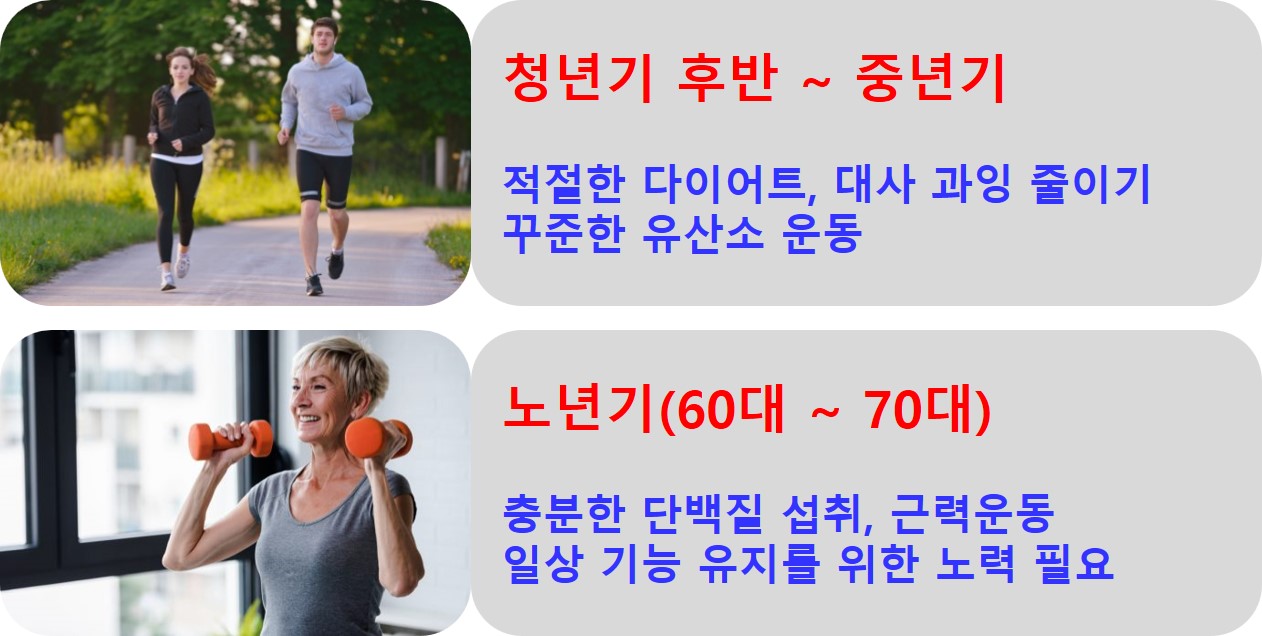 중년기건강관리