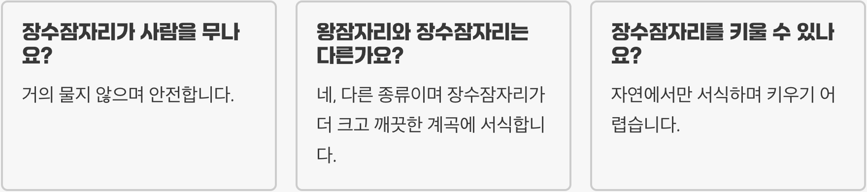한국 최대 잠자리, 장수잠자리의 모든 것