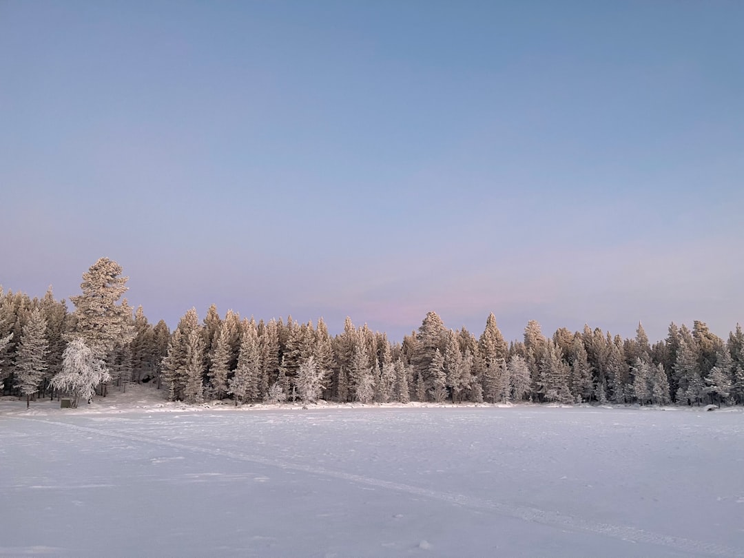 Beginning of Winter