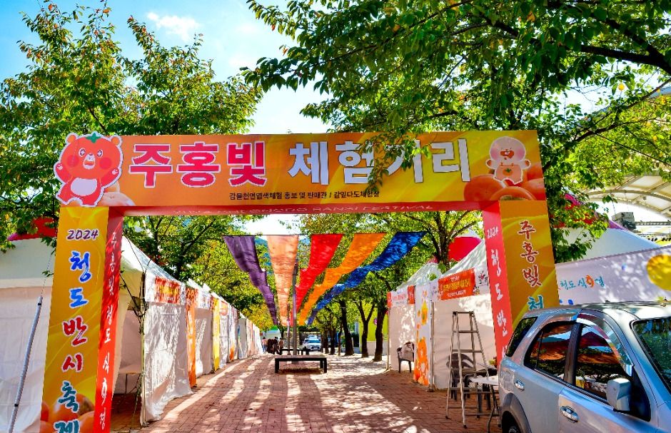 2025 청도반시축제 일정 및 체험 프로그램 총정리