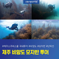 🐠 [국내여행과 스킨스쿠버] 핫플 BEST 10