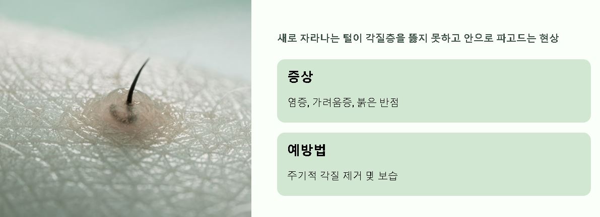 왁싱 뜻