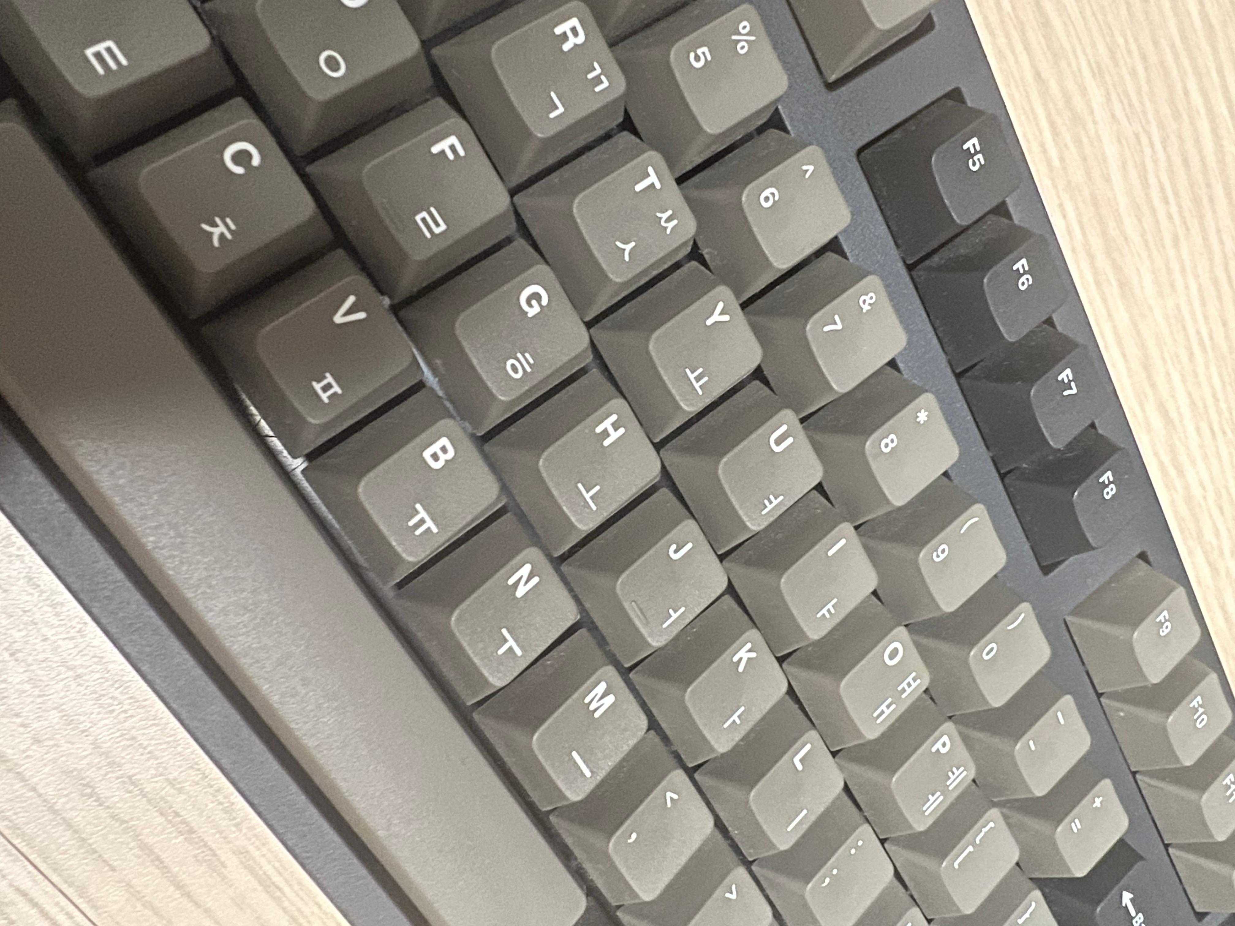 레오폴드 FC900RBT 저소음 적축 키캡 클로즈업 — PBT 이중사출 각인 선명도, 한글·영문 각인 디테일