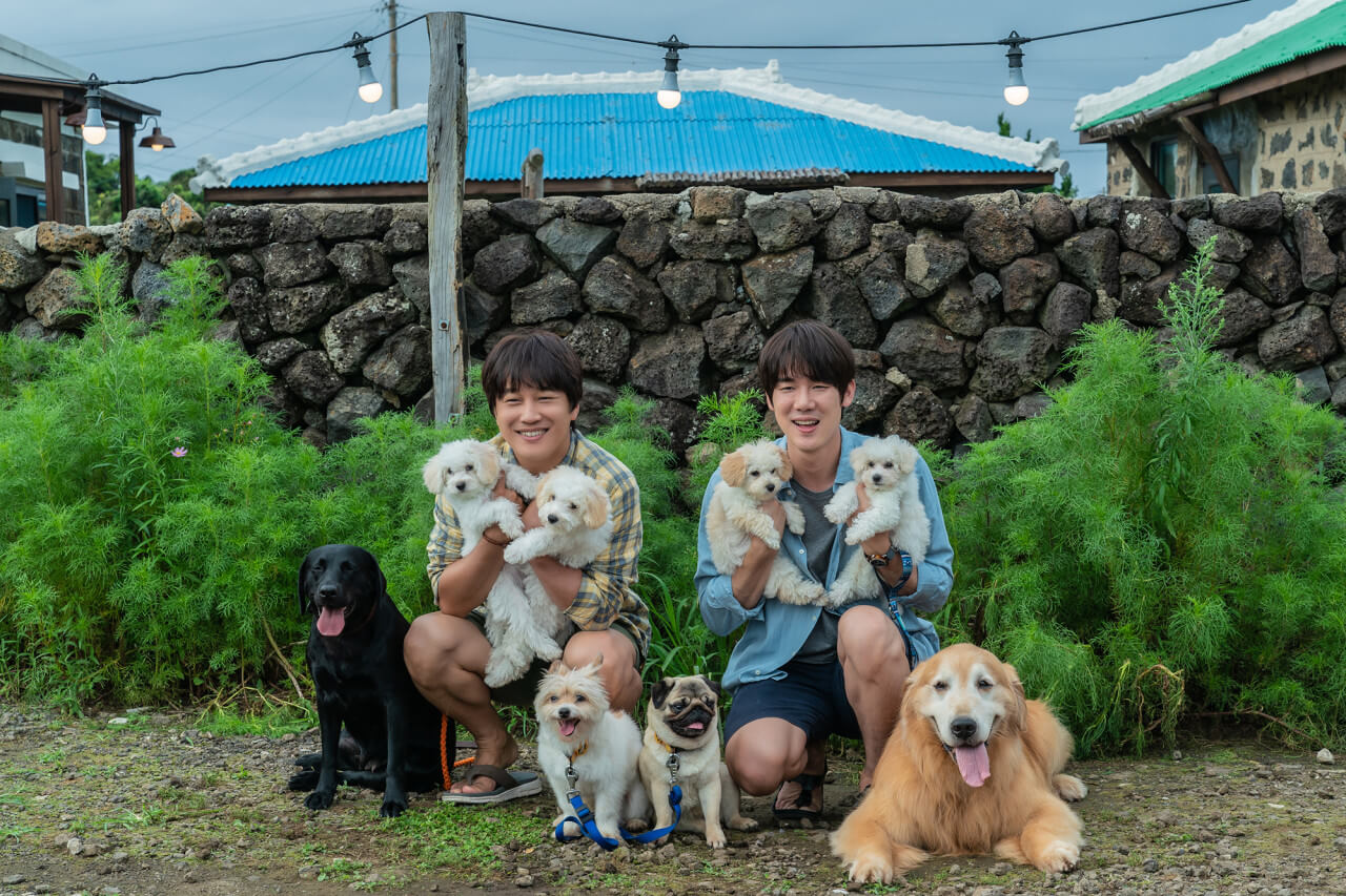 멍뭉이