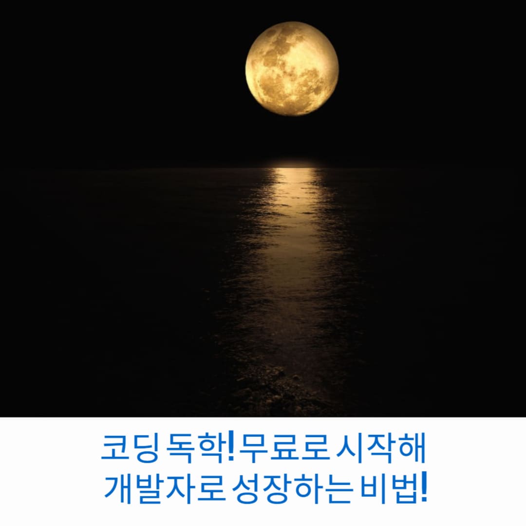 코딩-독학-무료로-시작해-개발자로-성장하는-비법-썸네일