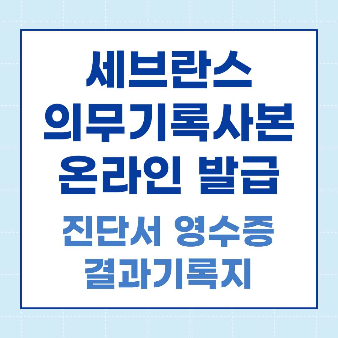 세브란스 온라인 증명서 발급