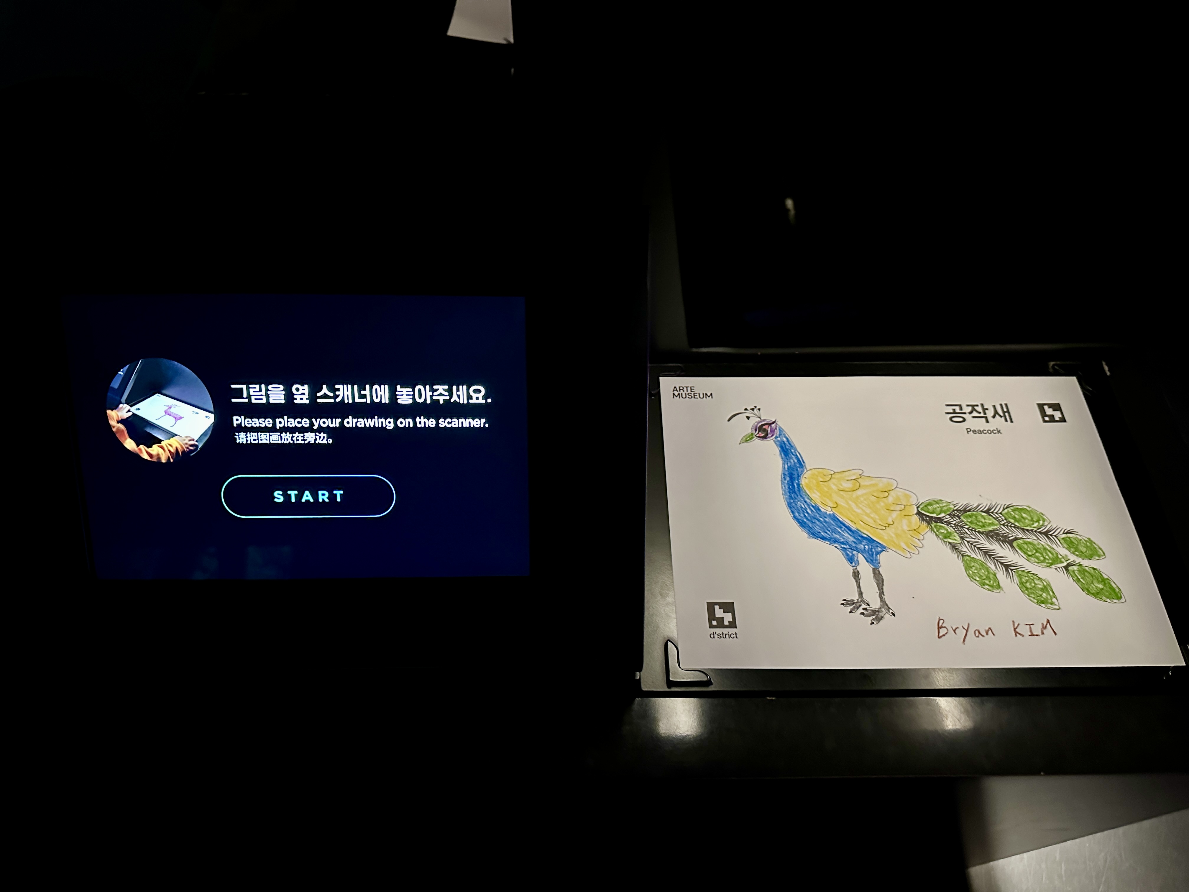 그림 그린후 스캐너에 올리기