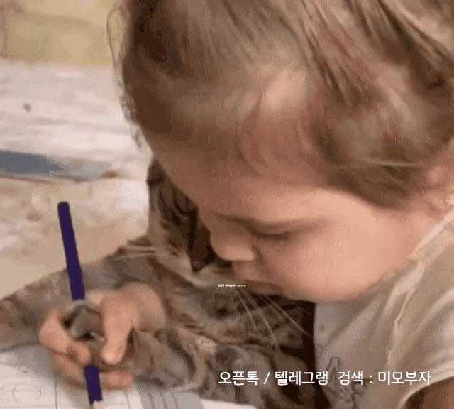 11월 6일 월 신문스크랩