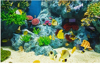 어린이날가볼만한곳best10