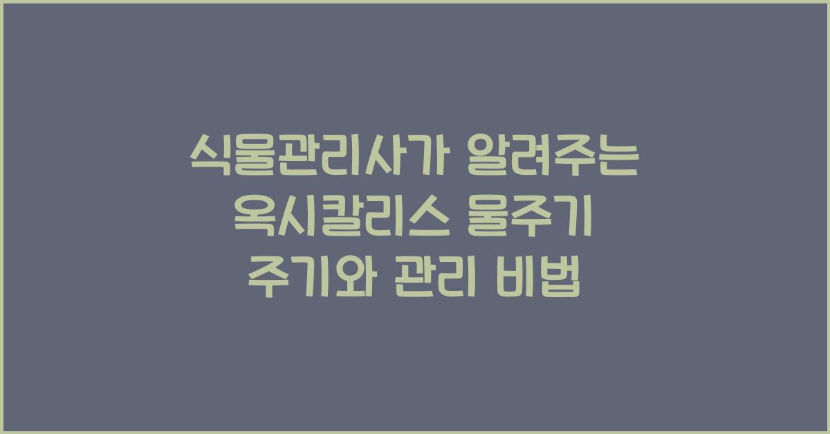 식물관리사가 알려주는 옥시칼리스 물주기 주기