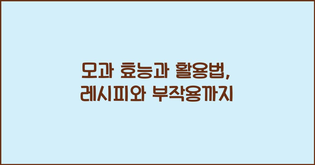 모과 효능