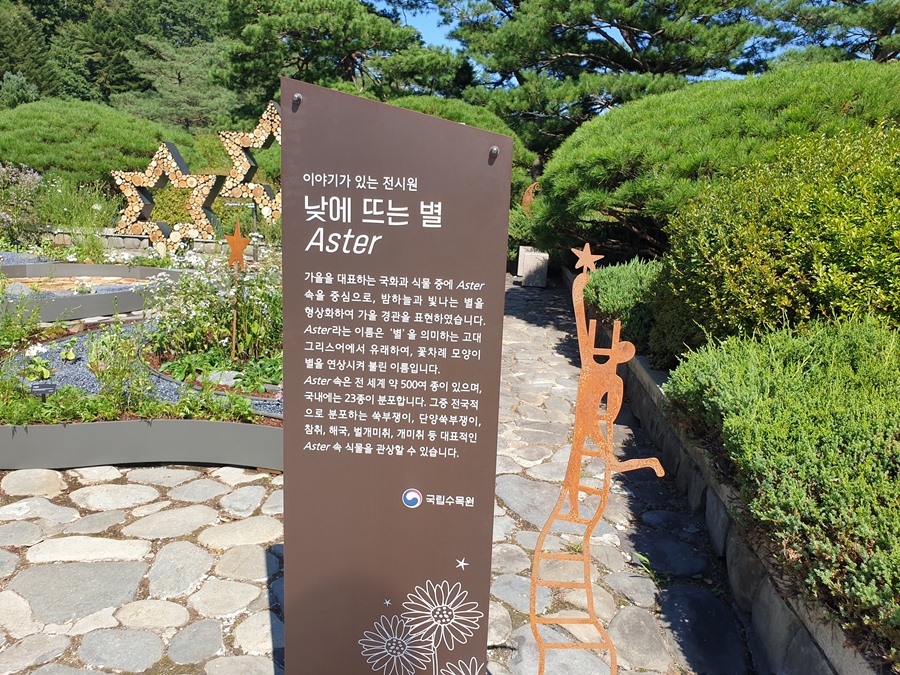 Aster속을-주제로-꾸며놓은공간-01