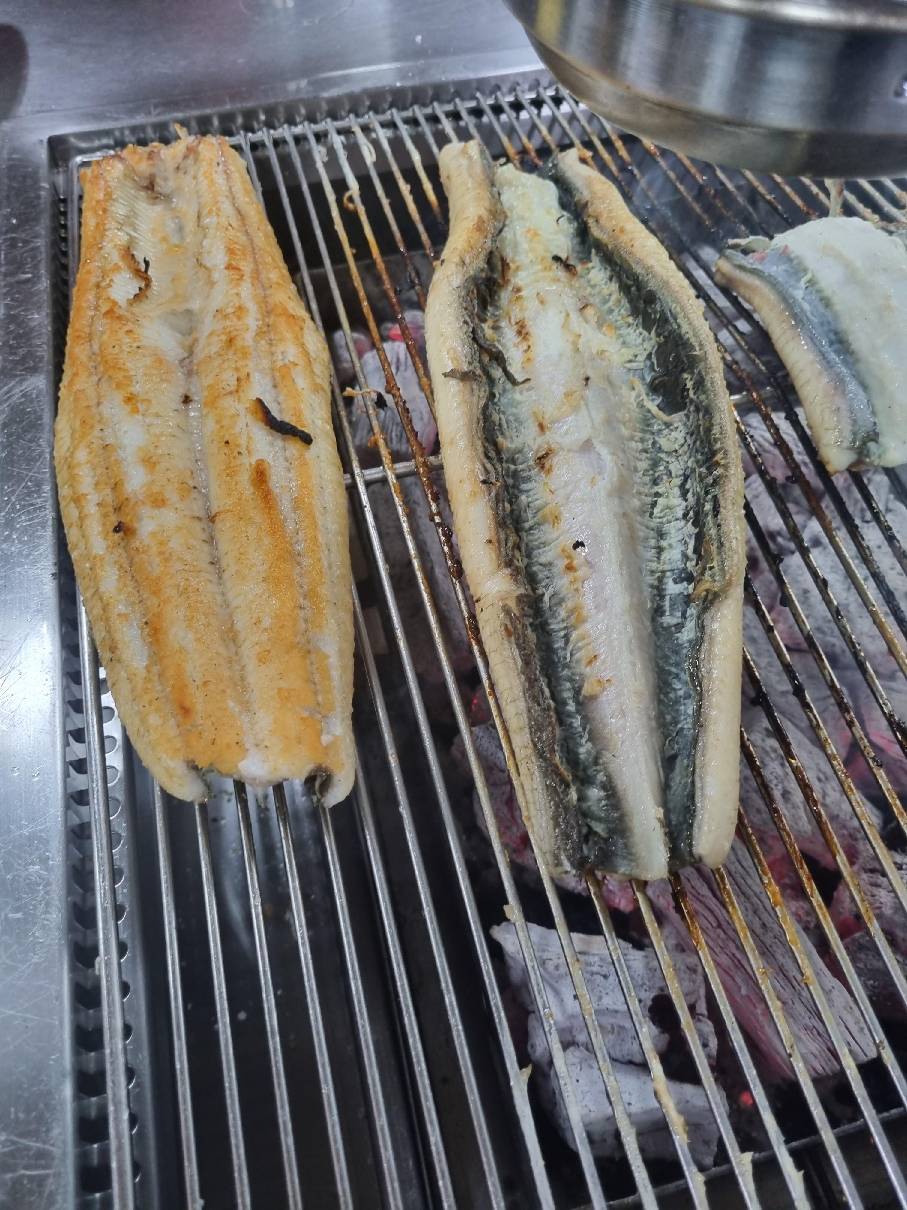 진두강민물장어