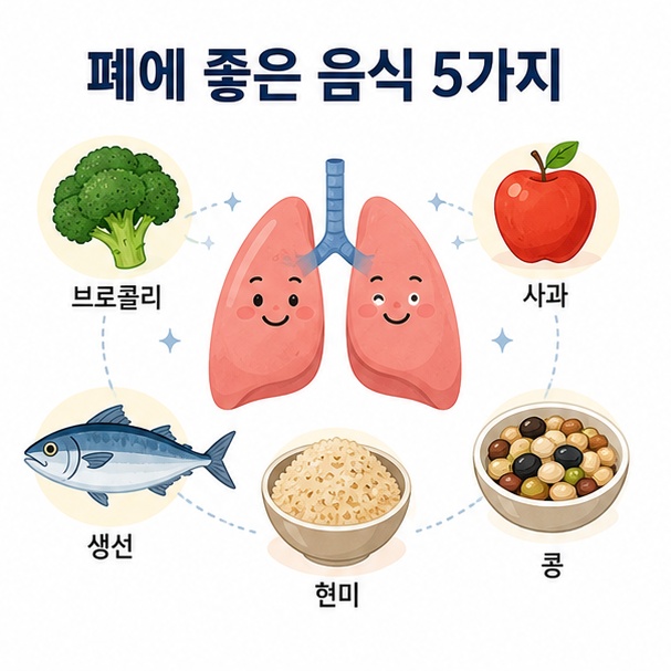 브로콜리와 사과, 생선, 현미, 콩을 건강한 폐 주변에 배치해 폐에 좋은 음식 5가지를 소개한 이미지