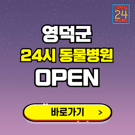 영덕군 24시 동물병원 진료하는 곳 ❘ 설날 휴일 야간 심야 문여는곳 찾기 ❘ 응급진료