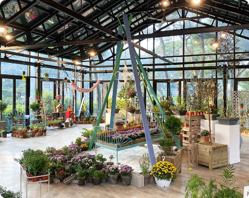 벽초지수목원 가을국화축제 화원 이미지/ 출처: 벽초지수목원 홈페이지