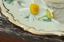 위 건강 영양제