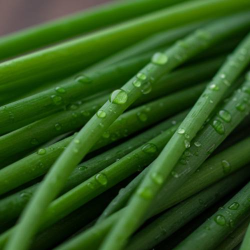 부추 요리 추천 재료