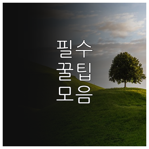 필수 정보! 2025 서대문형무소 관..