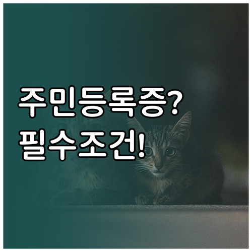 자녀장려금 신청 전 알아둘 주민등록등..