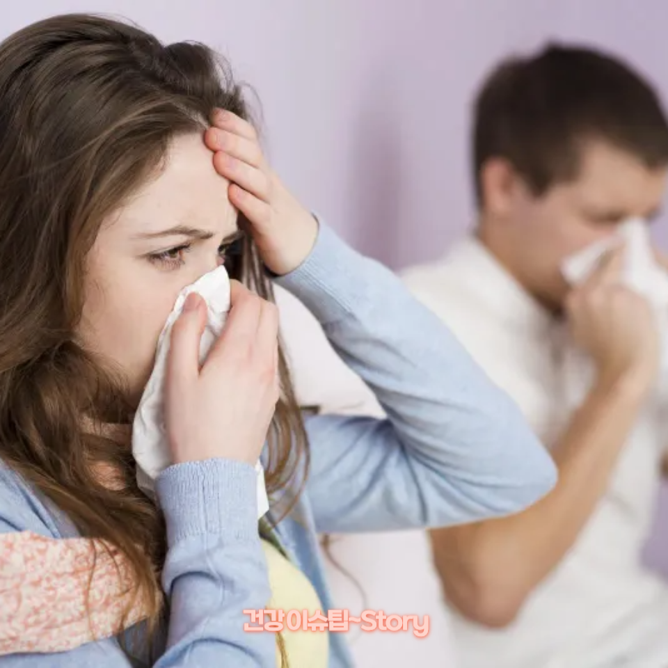 대표적인 비염 증상