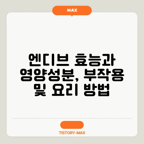 엔디브 효능과 영양성분, 부작용 및 요리 방법