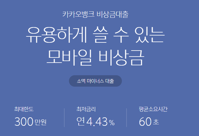 카카오뱅크 비상금대출