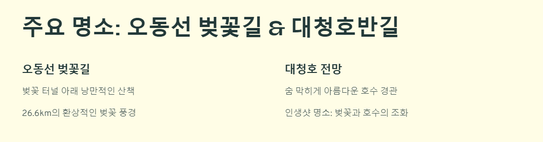 대청호 벚꽃축제 일정 맛집 가이드