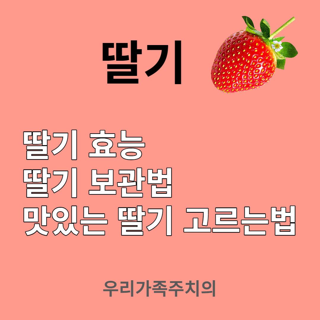 딸기효능