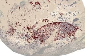 Leang Karampuang 동굴에서 발견된 벽화 중, 붉은 안료(오커, red ochre)로 그려진 야생 돼지 그림