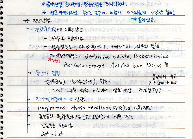 파이토플라스마 진단방법