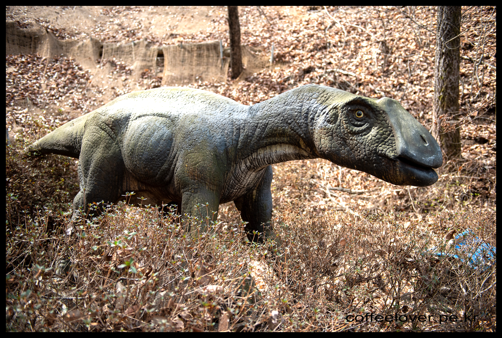 이천 여행 아이와 가볼만한곳 덕평 공룡수목원