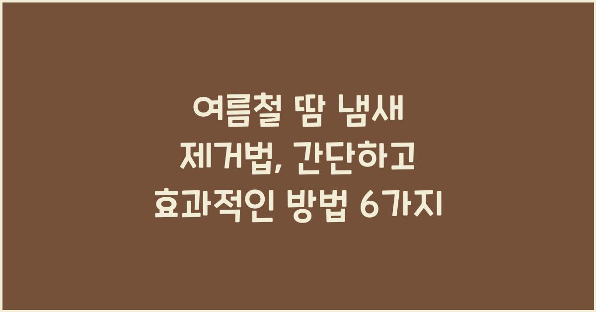 여름철 땀 냄새 제거법