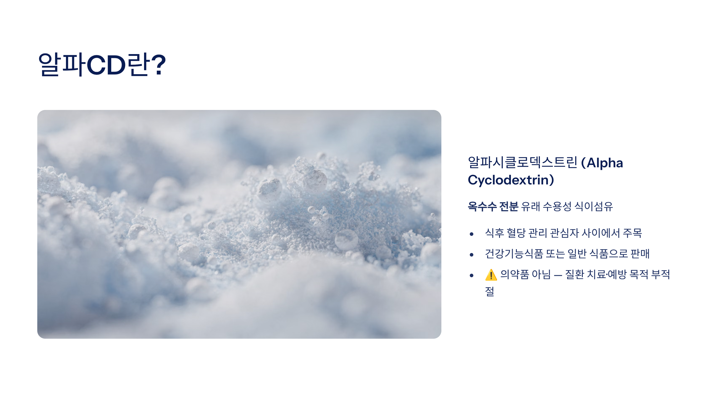알파CD 추천