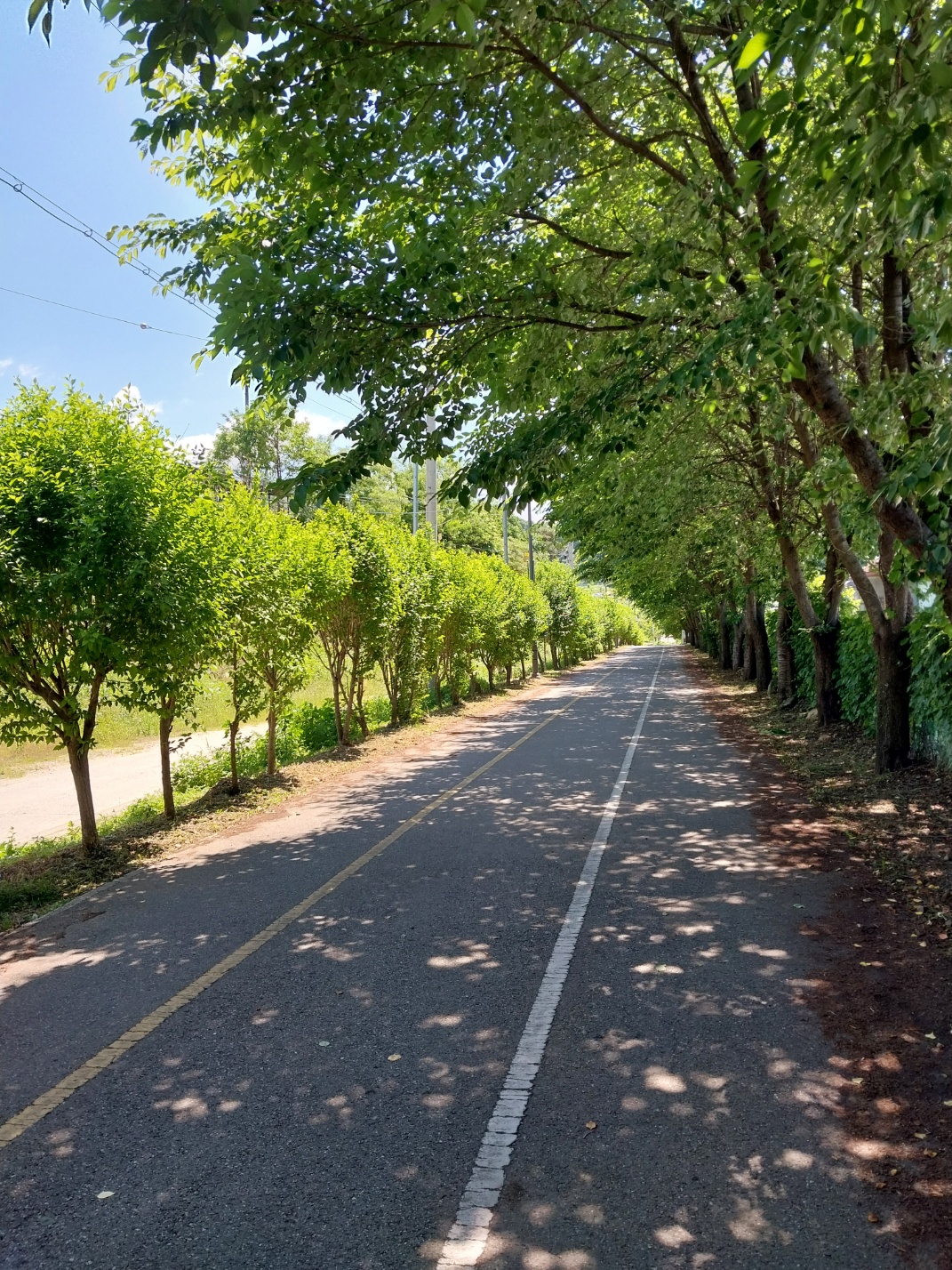 서울 근교 누구나 자전거와 걷기에 좋은 길