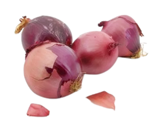 양파