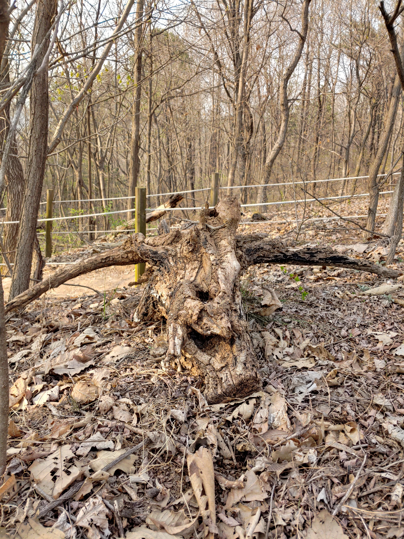 계란-마을-신천동