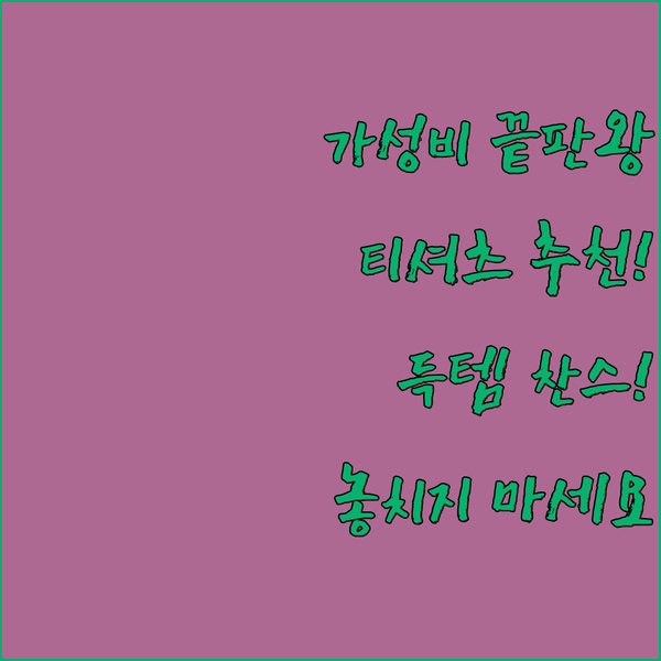 가성비 끝판왕 티셔츠 추천! 빈폴, 