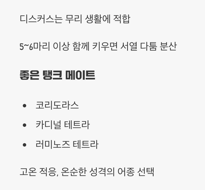 짝꿍 찾기 - 합사는 신중하게