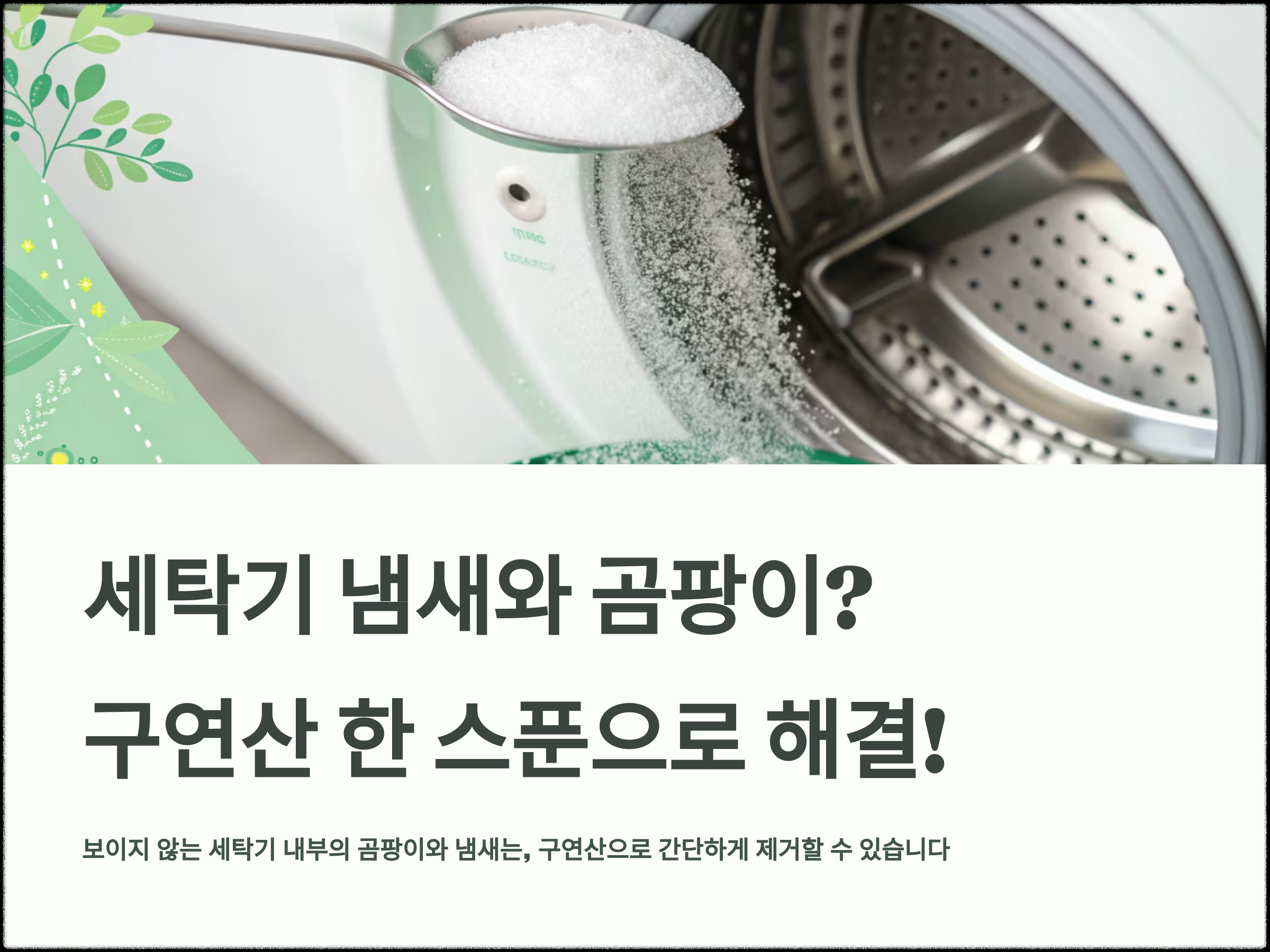 구연산 한 스푼으로, 세탁기 냄새 곰팡이 해결