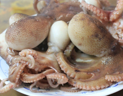 알트태그-살짝 데친 주꾸미