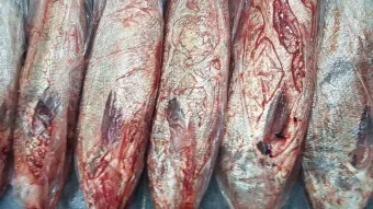 6월 제철 횟감 맛집 어디서 먹는 게 가장 맛있을까요 지역별 상세 추천_5