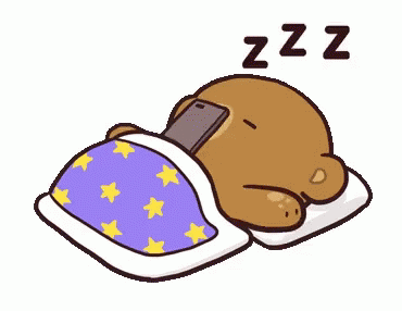 수면