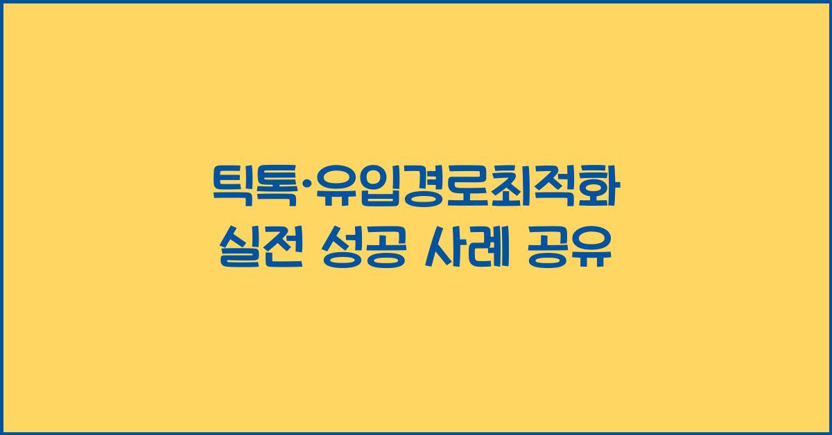 틱톡·유입경로최적화
