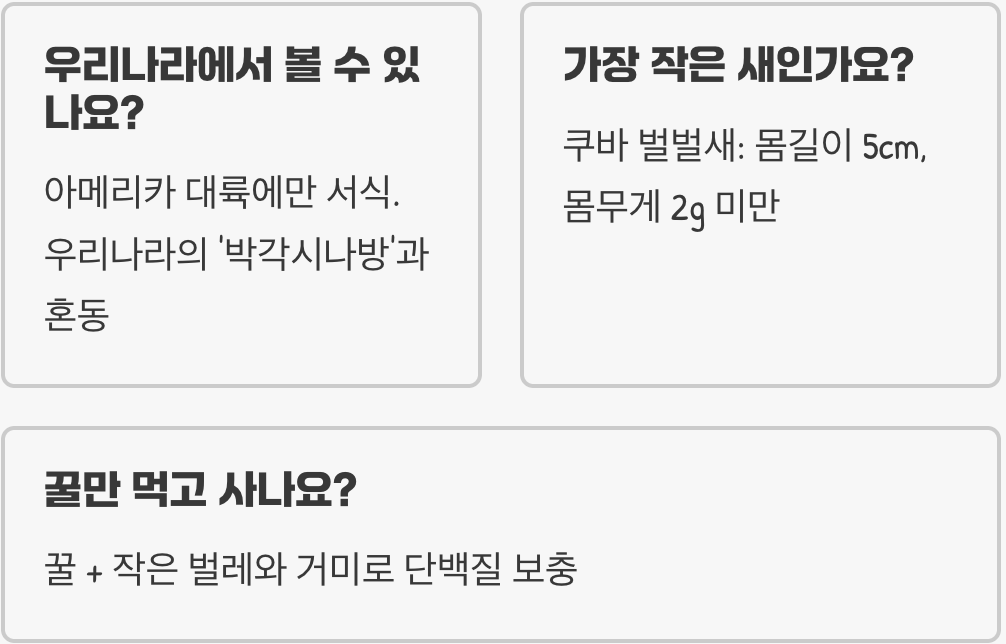 뒤로 나는 유일한 새, 벌새의 경이로운 비행 능력 5가지