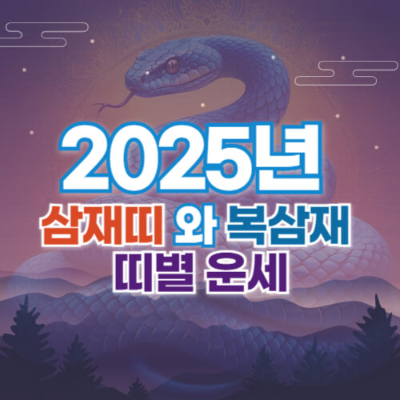 복삼재 의미
돼지띠 운세 2024
뱀띠 운세 2024
돼지띠 복삼재 특징
뱀띠 복삼재 극복 방법
삼재 뜻
2024 돼지띠 해석
2024 뱀띠 조언
돼지띠와 뱀띠 궁합
삼재 피하는 법