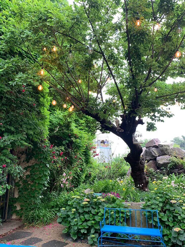 포토존 1 원래모습