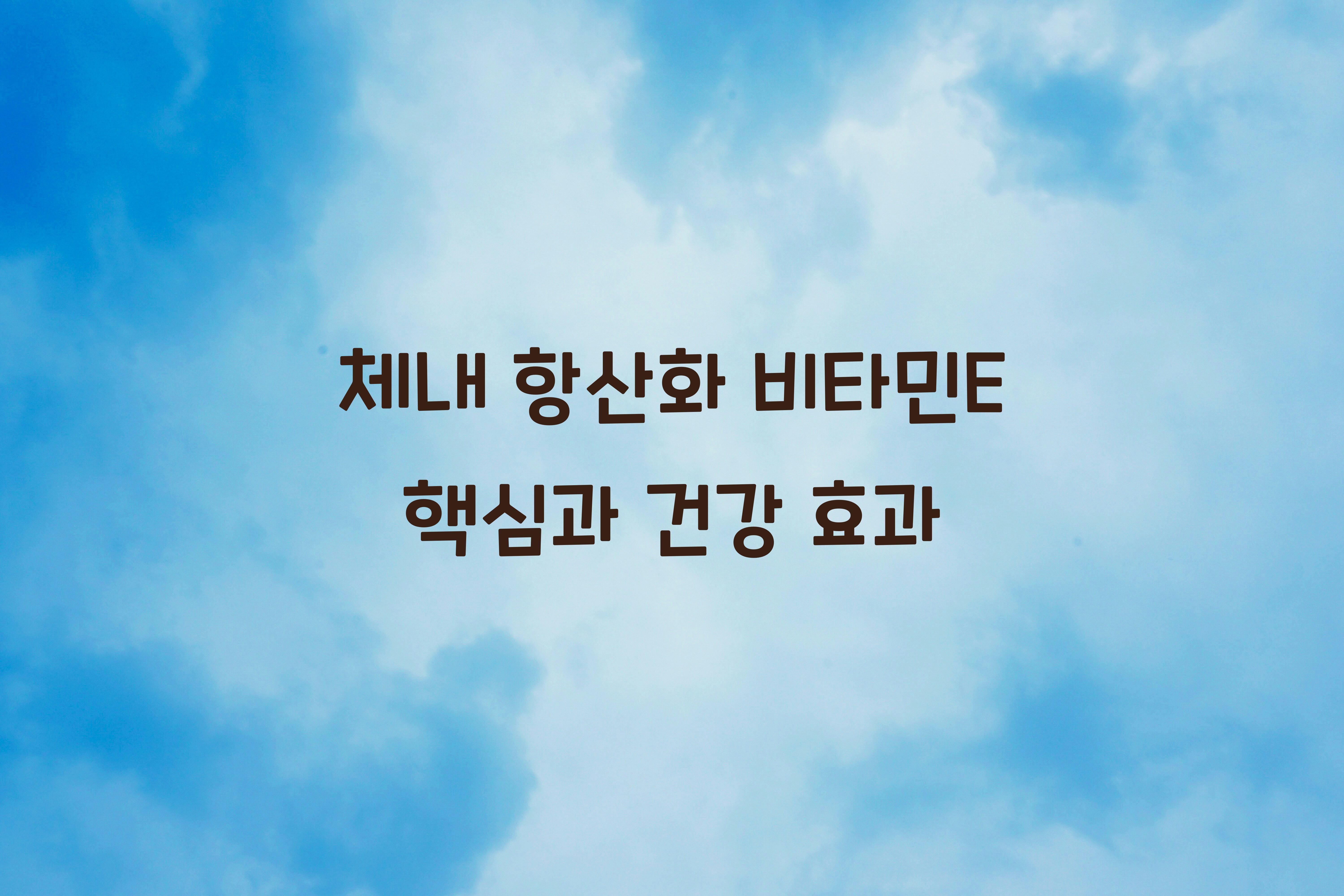 체내 항산화 비타민E 핵심